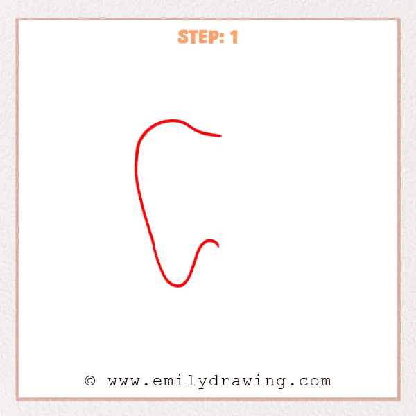 how to draw a cartoon tooth - Early sketch of a cartoon tooth using a single flowing outline with a rounded bottom and a small inward curve on the right side.